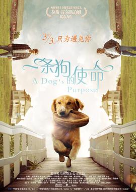 8x福利精品第一导航